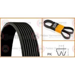 CORREA ACANALADA O POLY V 8PK1610